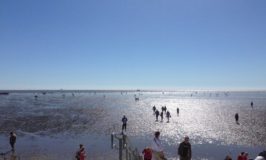 Wattwandern an der Ostsee