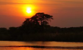 Faszinierende Abenteuer in Afrika erleben